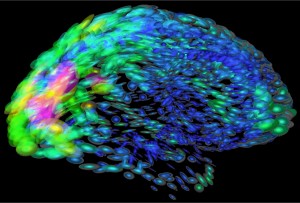 nih green shows differences between people